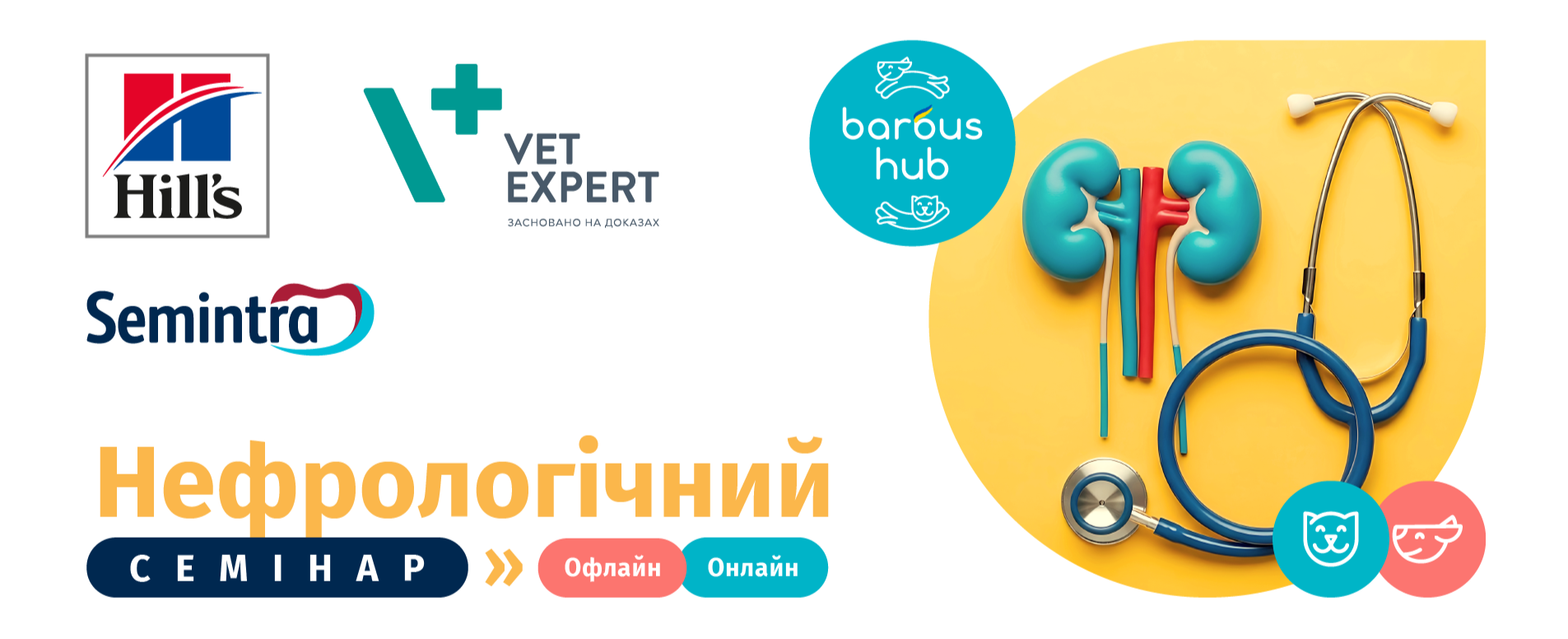 BarbusHub_KidneyS_26_E-mail – копія (2)